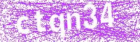 Verification Image