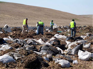 Plastic Bags Banned