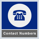 Contact Numbers