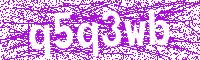 Verification Image
